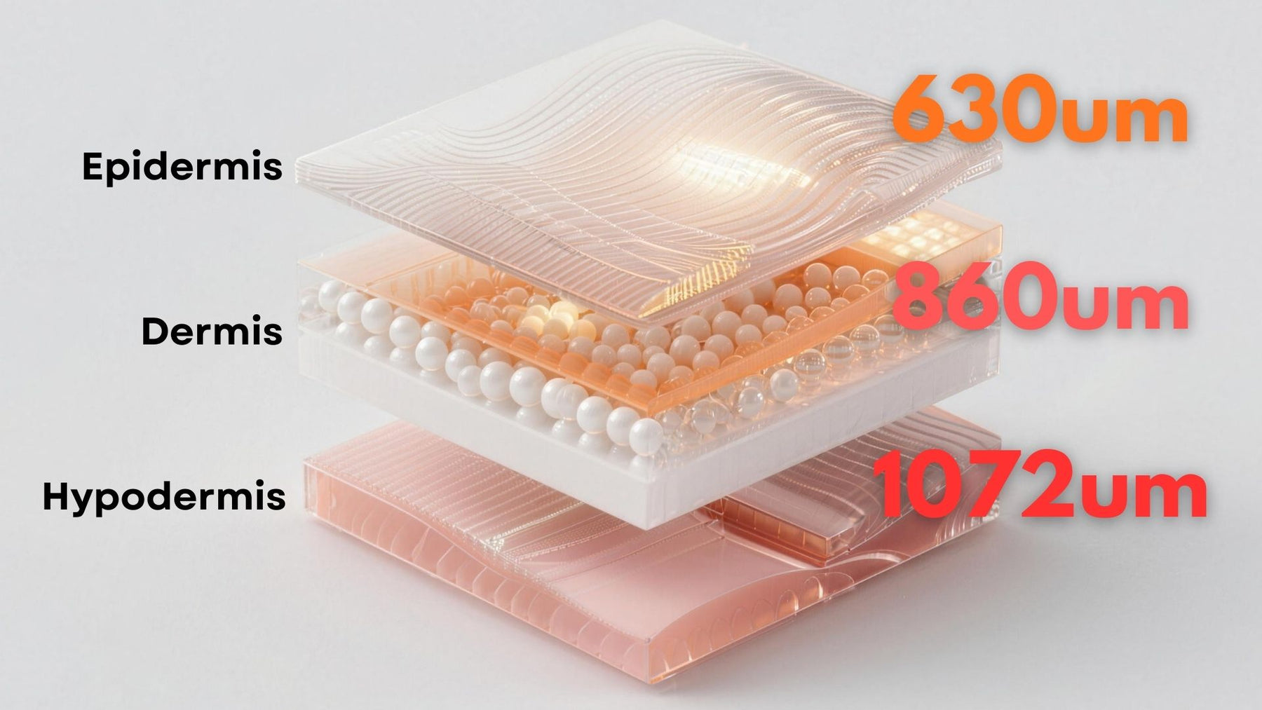 Penetrates Deep Dermal Layers for Targeted Care