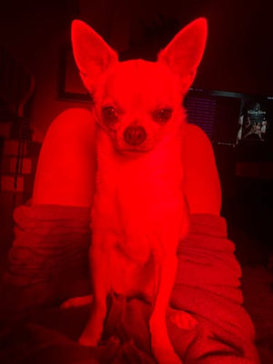 RevoRedlight